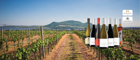 Sicilian Wine